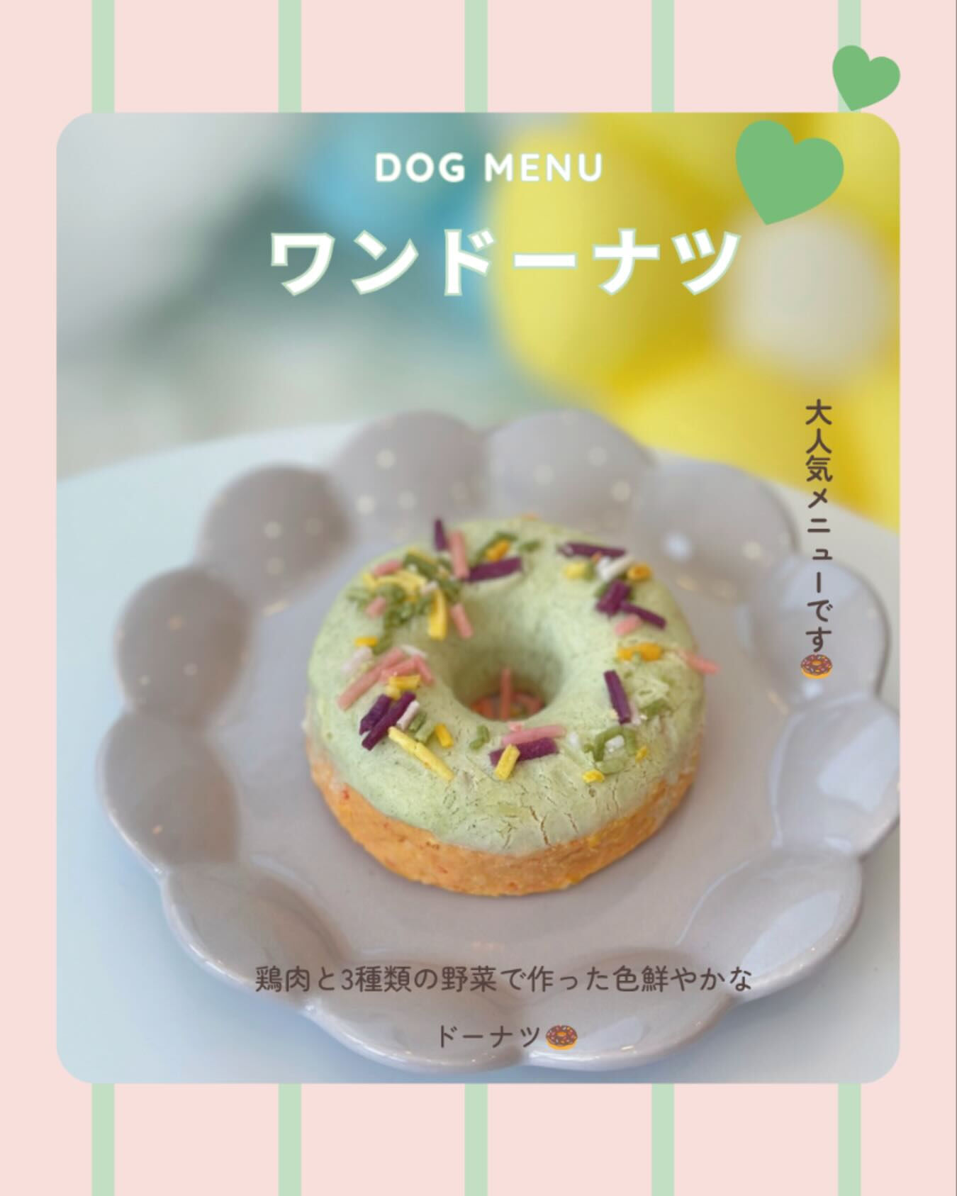 🐶✨🍩