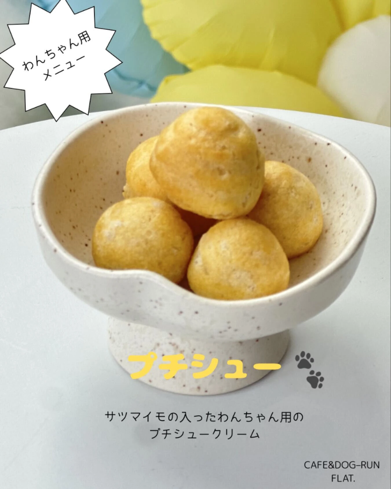 わんちゃん用メニューのご紹介 🐶