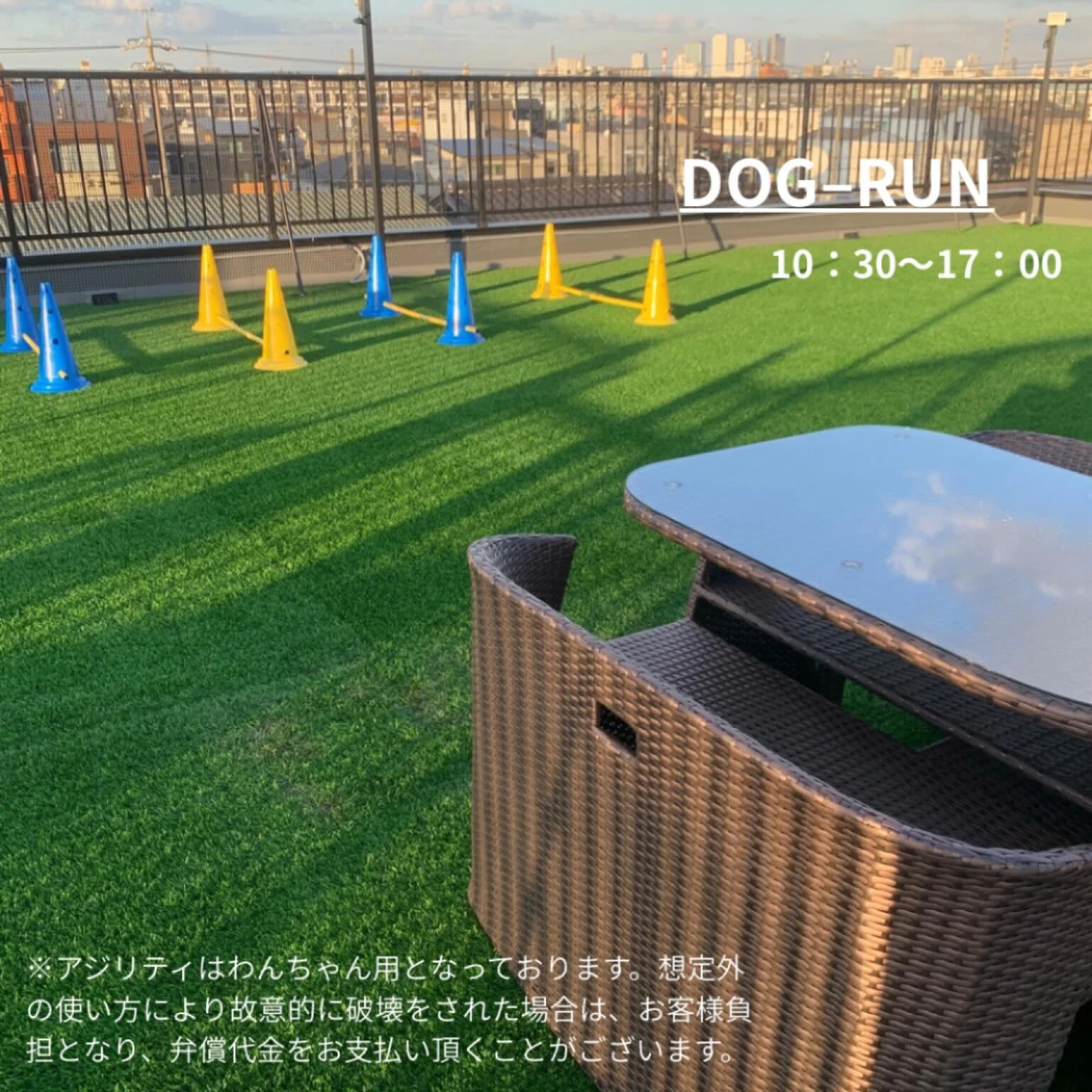 わんちゃんと一緒に、楽しい時間を過ごしませんか？🐶