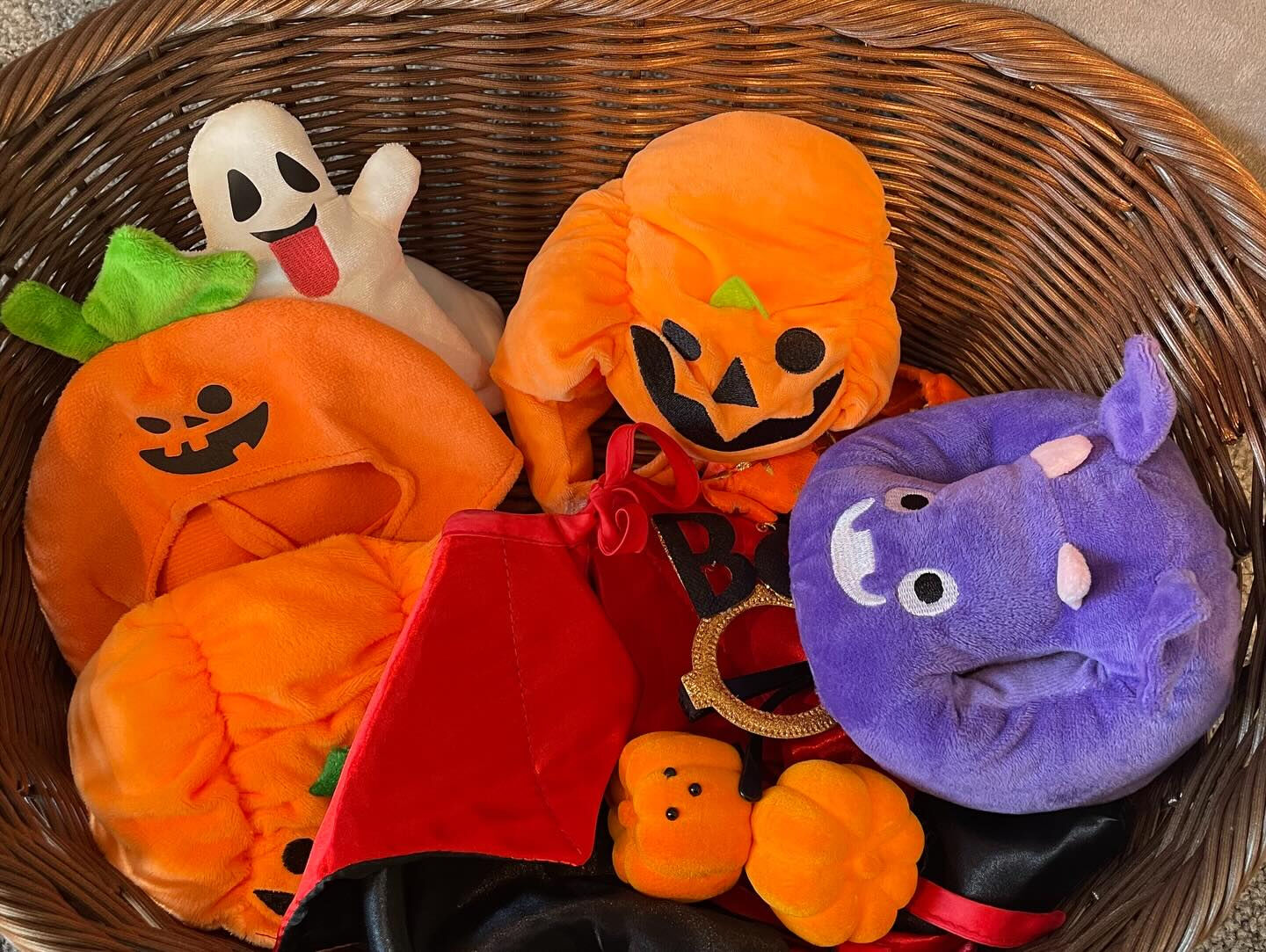 本日より、ハロウィン仕様のフォトブースがスタートしました✨